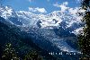 Ultra Trail Du Mont Blanc